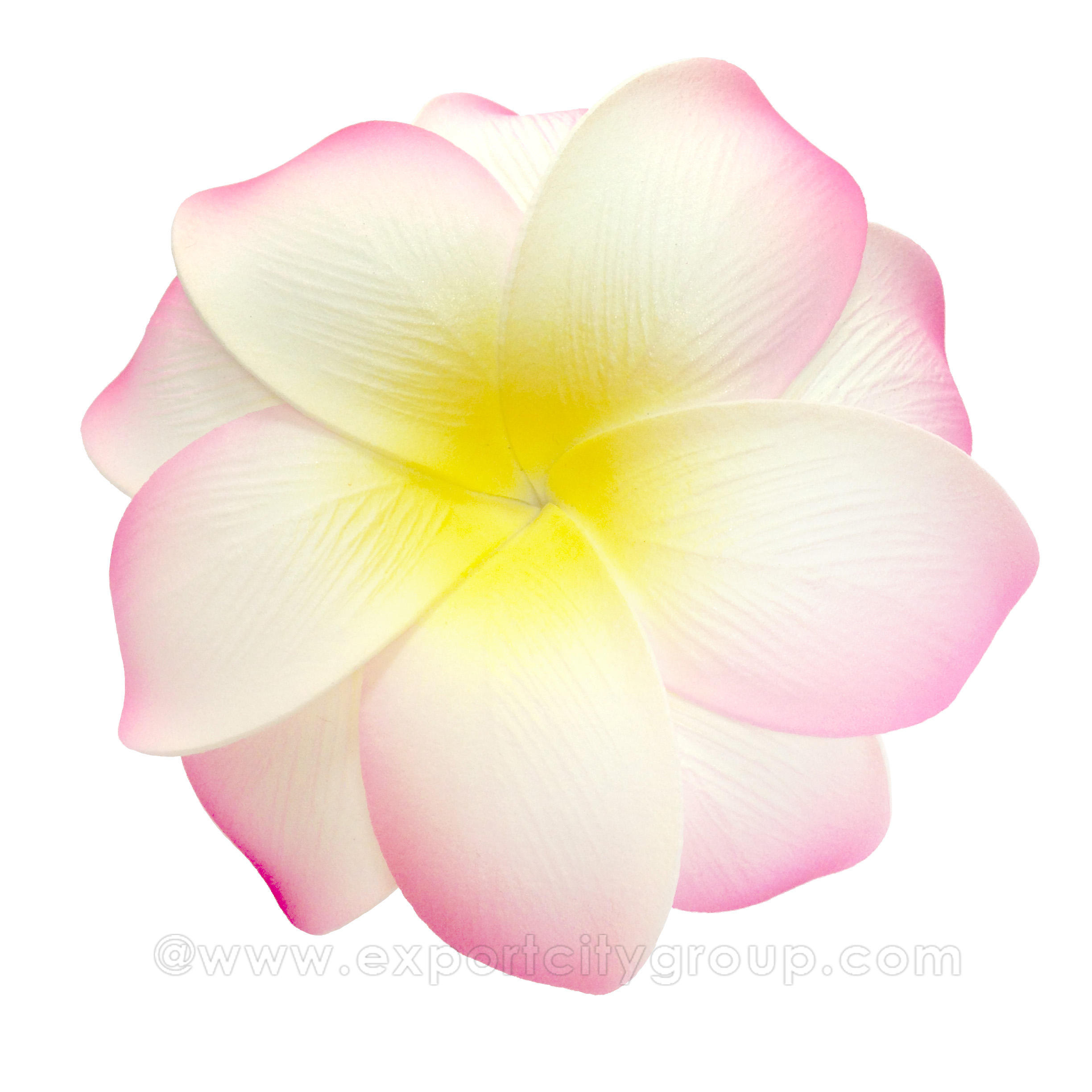 สีชมพูอ่อน