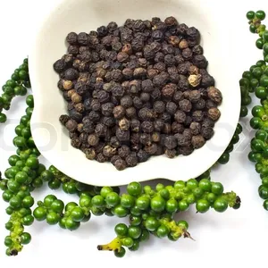 Dried Black Peppercorns /Fresh Green Pepper Essential Oil/ holiday +84-845-639-639