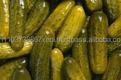 แตงกวาดองคุณภาพสูงในราคาที่ดีที่สุด/(Ms.jennie) - Product Image 3