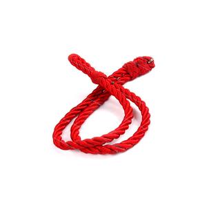 Cordón con logotipo personalizado - Product Image 2