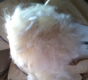 <span class=keywords><strong>Kapok</strong></span> cho lưới chim/sợi tự nhiên, <span class=keywords><strong>Kapok</strong></span> - Product Image 4