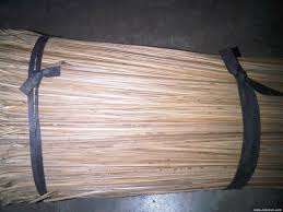 PALOS ESCOBA COCO Vietnamita - Product Image 2