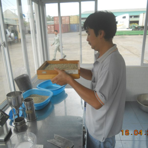 พริกไทยดำเวียดนามเพื่อการส่งออก - Product Image 3