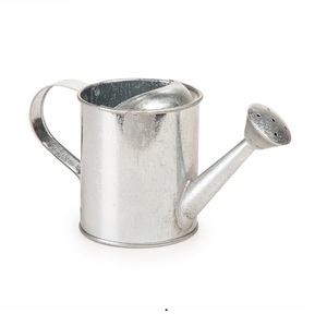 Galvanizado regadera - Product Image 1