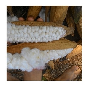 VIETNAMESE KAPOK FIBER CHEAP PRICE - Product Image 1