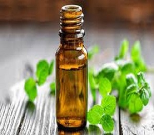 น้ำมันสะระแหน่จากอินเดียที่ได้รับการรับรอง GMP บรรจุในขวดและกลอง - Product Image 3