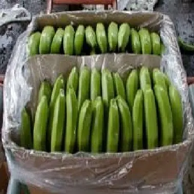 Высококачественный свежий зеленый банан из Вьетнама