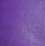 Pourpre