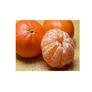 The Cheap price Fresh Calamansi/Fresh Tangerines With high quality Ms Holiday +84-845-639-639