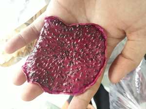 Fruta del Dragón Roja Seca de Vietnam - Product Image 4