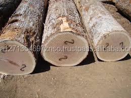 IROKO WOOD <span class=keywords><strong>PADOUK</strong></span>, SAWN TIMBER WENGE, DOUSSIE, SAPELLI, AZOBE, ZEBRANO RUNDE LOGS FÜR DEN EXPORT VERFÜGBAR