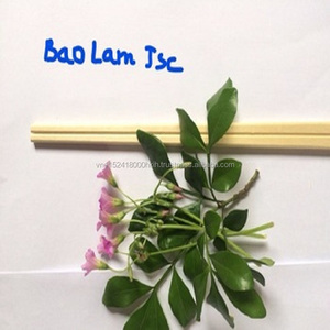 Vajilla de color de bambú natural blanco, palillos gemelos desechables de bambú Tensoge de calidad japonesa a granel - Product Image 1