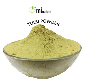 Orgánico USDA orgánico Tulsi en polvo - Product Image 2