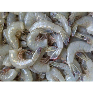 Camarones Congelados y Deshidratados / Camarones Vannamei Congelados, Camarones Blancos, Mariscos 100% en Caja, Proceso BQF, Certificación HACCP, 10 kg/Caja - Product Image 6