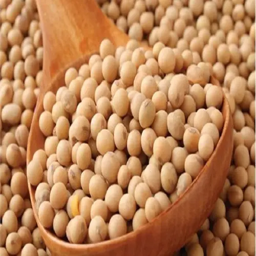 Soybean/Soya Bean、Soybean Seeds、Soya Bean Seeds販売のため