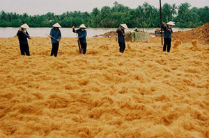 Haute qualité en vrac de fibre de noix de coco - Product Image 6