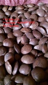 Anís Estrellado Puro de Vietnam - Product Image 2