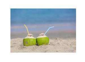 Coco fresco de Vietnam, gran calidad - Product Image 6