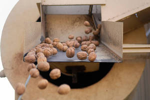 Nueces Crudas Secas de Primera Calidad al por Mayor a Precio Económico, Empaque de 10 kg - Product Image 4