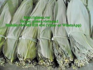 Hojas de Bambú Verdes Naturales Secas de 40 cm para Moldes de Pastel, Origen Vietnam, Empaque a Granel, Gimex, 12 Meses de Duración - Product Image 2