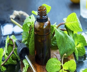 Aceite de Hojas de Menta Pura y Natural en Marca Blanca - Product Image 2