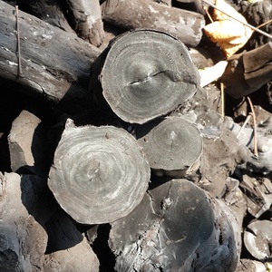 Parrilla de barbacoa de carbón NATURAL, precio barato, 2019 - Product Image 1