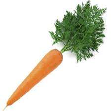 <b>Fresh</b> <b>Carrot</b> in Viet Nam/ High Quality/ Sweet/ HOLIDAY - Product Image 2
