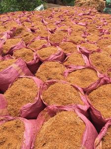 Turba de Coco fresca para plantas, fácil de usar, venta al por menor, turba de Coco, bloques de 5kg, bloques de ladrillo de coco, bloques de cocopeat secos, chips - Product Image 5