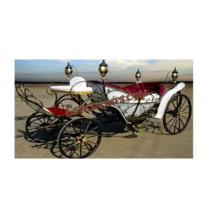 Hermoso Carruaje de Boda con Luces LED, Tamaño Personalizado y Diseño Ligero, Material de Metal y Madera - Product Image 1