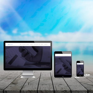 Best <strong>Search</strong> <strong>Engine</strong> <strong>Optimization</strong> SMM and SMO Services Provider Company in India - ProtoLabz EServices - Product Image 5