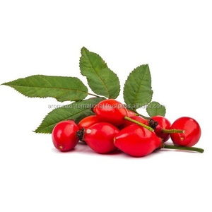 Fabricant indien Fournisseur d'huile de rose musquée pressée à froid sous forme liquide Tarifs compétitifs - Product Image 6