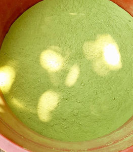 Encens naturel de feuille d'eucalyptus du Viet Nam-Bâtons d'encens à base de plantes Fabricant et fournisseur en gros-M. Pierre Luu - Product Image 4