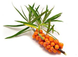 Doğal meyveler yeni ürünler tüm ham kurutulmuş <span class=keywords><strong>Seabuckthorn</strong></span> meyve çay - Product Image 6