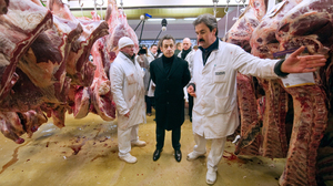 Carne de Búfalo Congelada Fresca de Sudáfrica de la Mejor Calidad, Certificada Halal, en Caja, Proceso BQF, Nutritiva, Disponible a Granel - Product Image 3