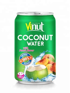 Agua de Coco VINUT de 330 ml con Sabor a Mango, Jugo de Fruta Puro, OEM Personalizable, Agua de Coco con Sabor a Mango - Product Image 5