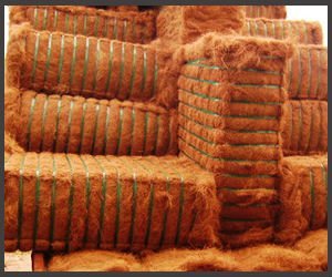 Cáscara de coco/FIBRA DE coir - Product Image 2
