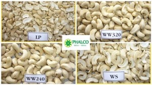 Vietnam Organic Roasted Cashew <b>Nuts</b> <b>Kernels</b> ISO Certified Vacuum Packed Good Quality Wholesale Export Phalco Brand Grade 2 Year - Product Image 3