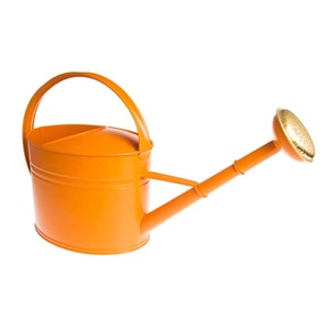 Low MOQ Factory Price Handmade Galvanized Metal Indoor Plant Watering Pot Wholesaler Supplier - Product Image 1