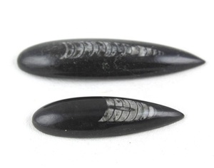 Grand Orthoceras naturel de 67 carats et petit de 37 carats Cabochons en forme de poire Fabrication de bijoux faits à la main Pierres précieuses en vrac Vente en gros - Product Image 5