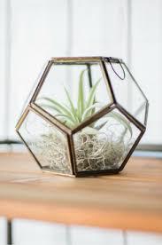 CLASSIC GEOMETRIC TERRARIUM HOME DECORATIVE TABLE TOP PLANT HOLDER HANDMADE OUTDOOR TERRARIUM FOR HOME DECOR - Product Image 4