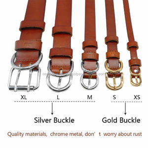 Vente chaude De Luxe Confortable Formation Collier De Chien En Cuir Solide Rivet Décoration Couleur Personnalisée Boucle Fermeture-Laisses Ensemble - Product Image 6