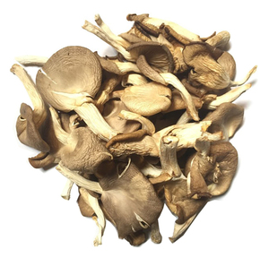 Hongo Ostra de Vietnam en 2020 - Product Image 1