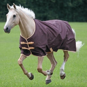 Couverture d'hiver pour cheval 600D Ripstop imperméable, col standard, rembourrage en coton 300gsm, couverture isolante avec doublure en nylon - Product Image 5
