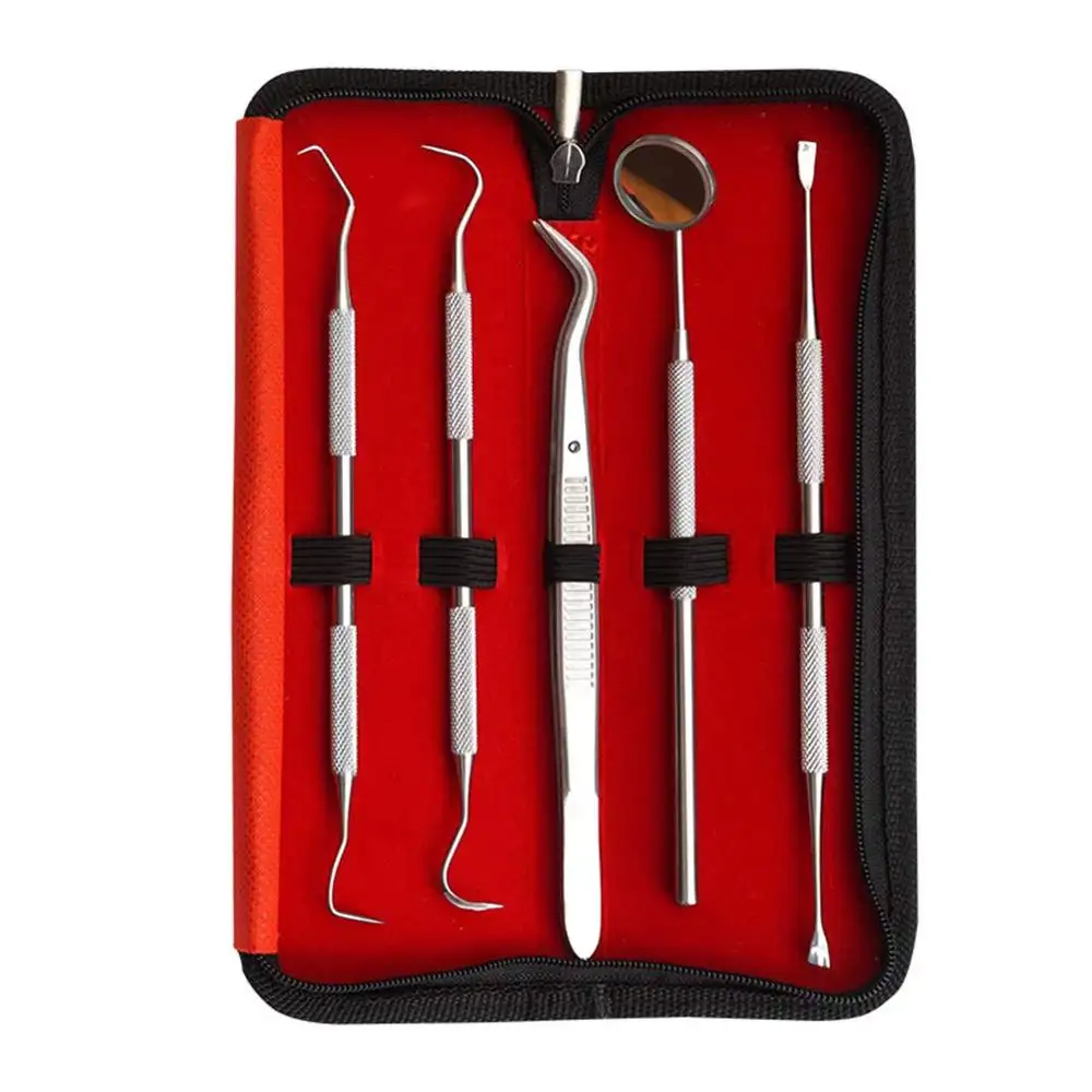 Dental Cleaning Tools, 5pcs Dentist Tool Kit Dental Picks Set Stainless Steel Caler Hygiene Kit