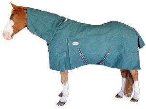 Couverture de cheval en toile imperméable, en coton robuste, pour l'extérieur et l'écurie, protection durable contre les intempéries - Product Image 3