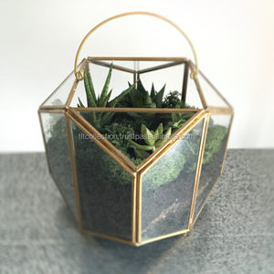 Jarrón de vidrio colgante para plantas, terrario con soporte de Metal negro o blanco, Gema para decoración, usos - Product Image 2