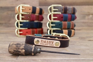 En cuir Collier de Chien À La Main Avec Laiton Massif Or, Collier En Cuir Pour Animaux De Compagnie, Chiens Étiquettes Personnalisées WDS-0008 - Product Image 3