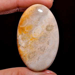 Fait à la main lisse naturel corail fossile Cabochon pierres précieuses en vrac toutes tailles guérison Tumbleds forme mixte beauté organique - Product Image 3