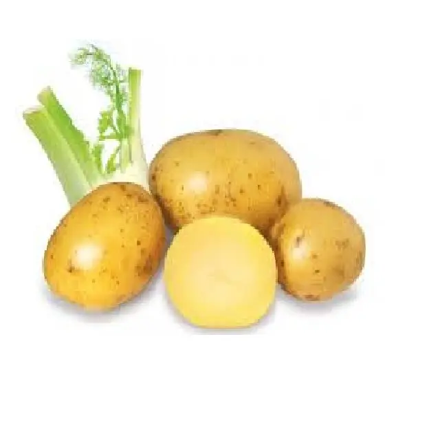 Il Più Economico di patate in Viet Nam (MS.HOLIDAY whatsapp + 84 845 639 639)
