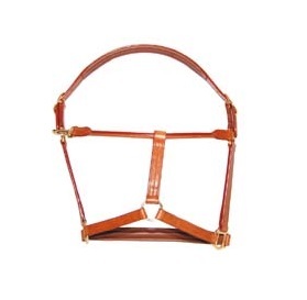 Licol en cuir de cheval de qualité supérieure en marron/noir Accessoires équins de haute qualité de fournisseurs fiables - Product Image 4